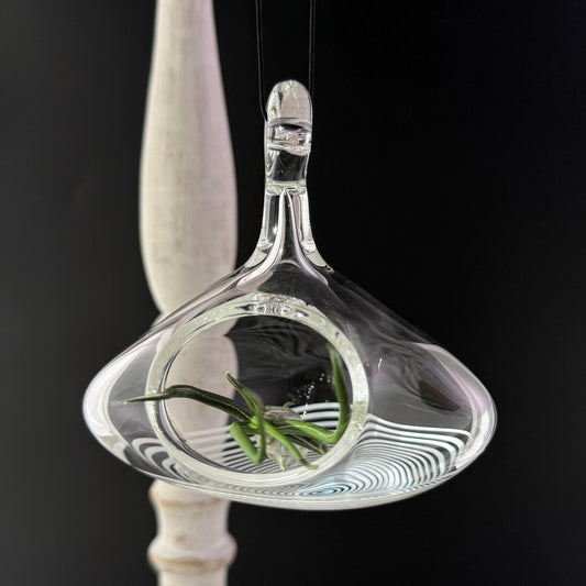 Air Plant Holder in White