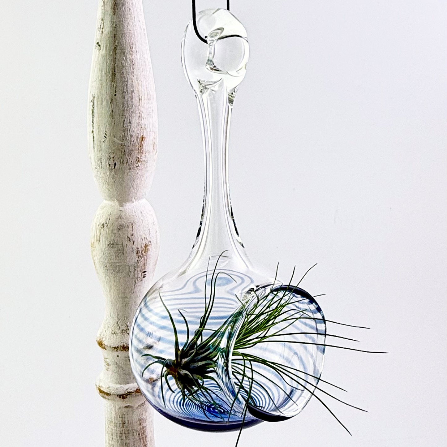Air Plant Holder in Cobalt