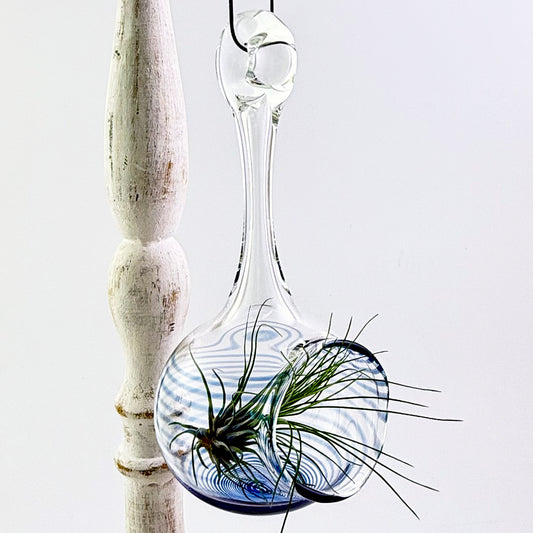 Air Plant Holder in Cobalt