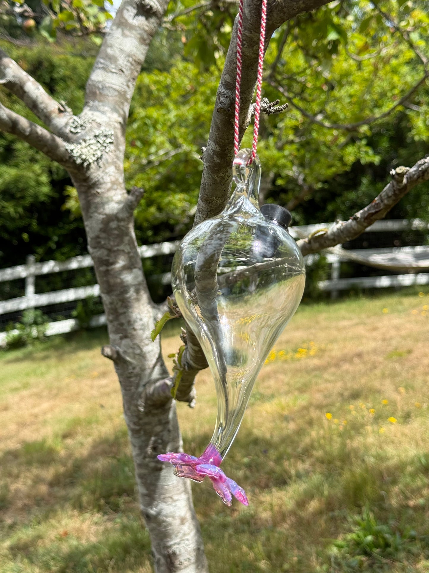 Hummingbird Feeder