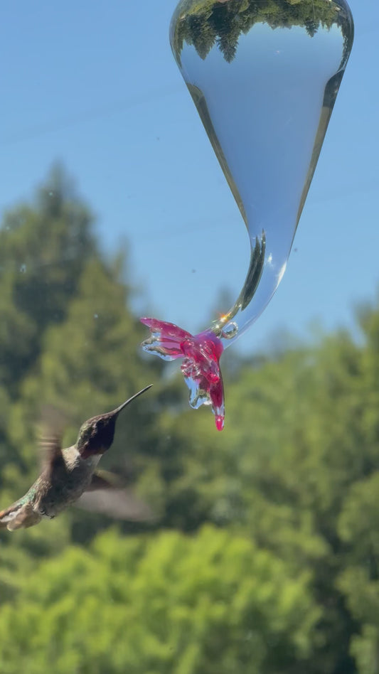 Hummingbird Feeder