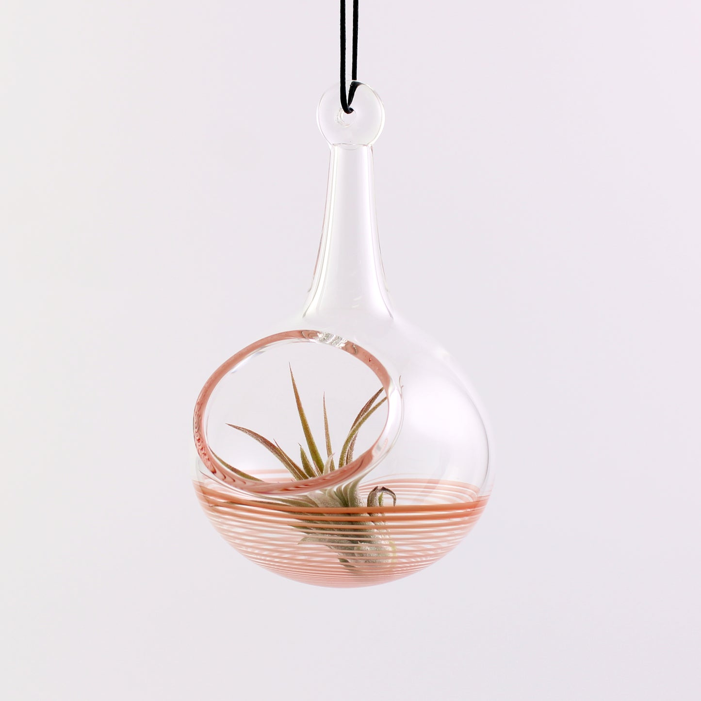 Air Plant Holder in Hot Sauce (Orange)