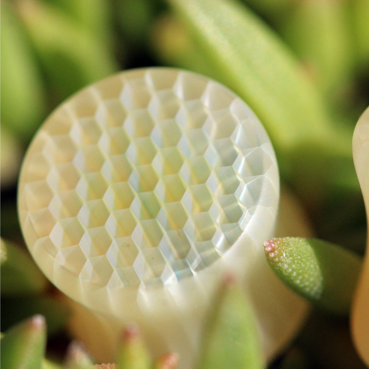 Classic Silver Honeyglass Saddle Plugs