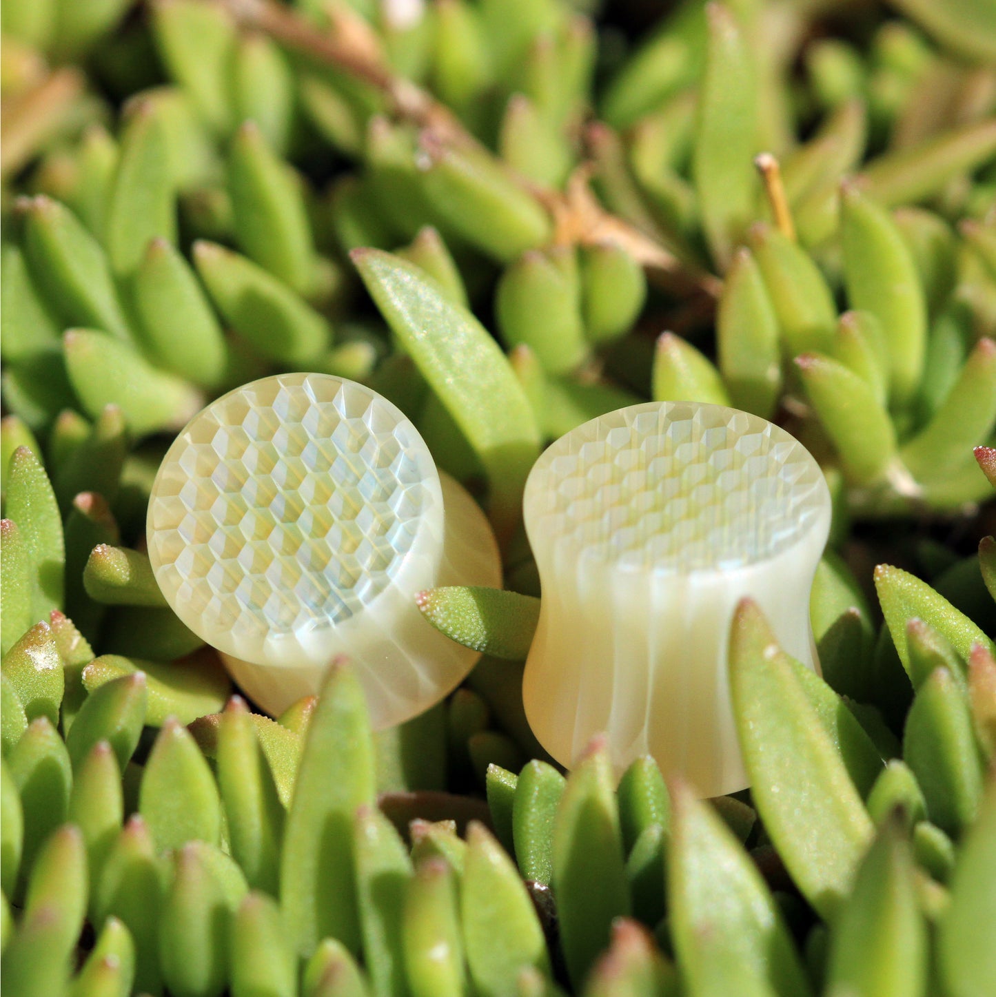 Classic Silver Honeyglass Saddle Plugs